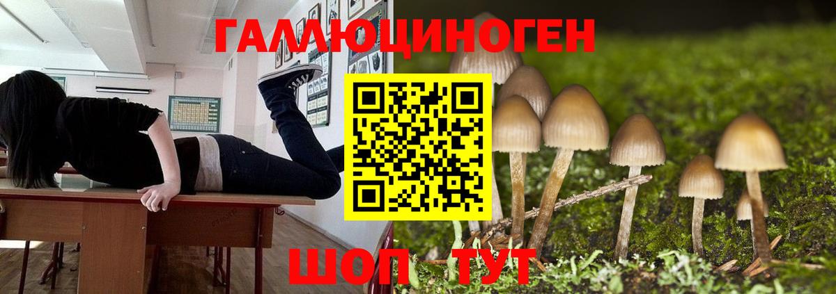 Галлюциногенные грибы прущие грибы Ангарск